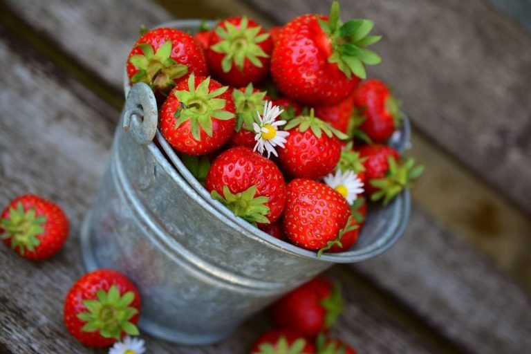 Fresh, Seasonal Fruits and Vegetables